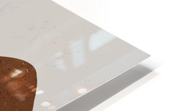 HD Sublimation Metal Print