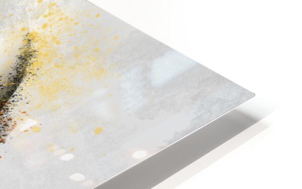 HD Sublimation Metal Print